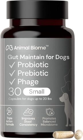 بروبيوتيك جديد من AnimalBiome للقطط مع S Boulardii (60 كبسولة) KittyBiome - تحافظ الأمعاء على البكتيريا ثلاثية المفعول والبريبايوتكس ومكملات البروبيوتيك للقطط لصحة الجهاز الهضمي، مفتوحة لسهولة تناول الطعام in Kuwait