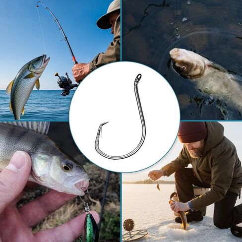 150PCS Circle Hooks, Strong High Carbon Steel Fresh and Saltwater Fishing Hooks, Variety of Different Sizes Circle Hook - Size:#1 1/0 2/0 3/0 4/0 5/0 6/0 8/0 in Kuwait