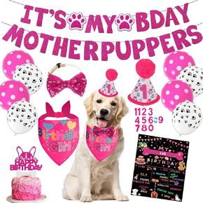 Blue Dog Birthday Party Supplies Pet Birthday Bandanas Boy Doggy Birthdays Hat Bow Tie Greeting Card Numbers It's My Bday Mother Puppers Sign Banner for Medium Large Pets in Saudi Arabia