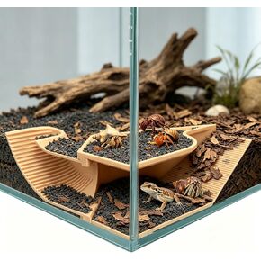 Hermit Crab Hideout & Reptile Hide, Leopard Gecko Tank Accessories in Saudi Arabia