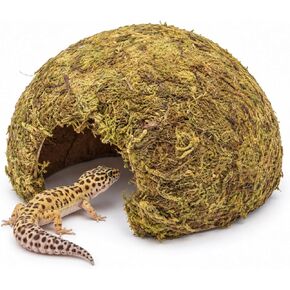 Natural Moss Frogs Hideout - Green Mossy Cave for Reptile, Geckos, and Hermit Crabs - Humid Habitat Decor for Amphibians and Small Reptiles - Eco-Friendly Terrarium Shelter in Saudi Arabia