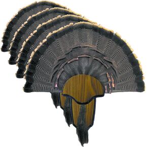 هنتر سبيشالز اتش اس Strut Turkey Tail & Beard مجوعة تثبيت على حامل in Kuwait
