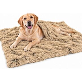 The Dog's Sound Sleep Donut Dog Snuggler, Large, Calming, Anti-Anxiety Blanket, Dark Grey in Saudi Arabia