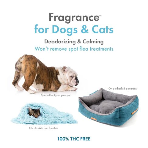 Petkin Hemp Fragrance for Dogs and Cats - With Hemp Oil & Soothing Vanilla Extract, 8 oz - Soothes, Calms & Conditions - Keeps Pet Smelling Great - For Home, Travel & Use on Pet Bedding in Kuwait
