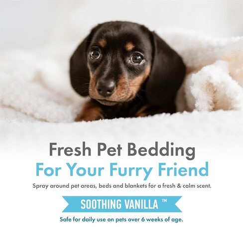 Petkin Hemp Fragrance for Dogs and Cats - With Hemp Oil & Soothing Vanilla Extract, 8 oz - Soothes, Calms & Conditions - Keeps Pet Smelling Great - For Home, Travel & Use on Pet Bedding in Kuwait