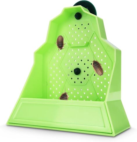 Reptile Anti-Escape Feeding Bowl, Wall-Mounted Feeder for Reptile, Stimulate Hunting Accessories for Terrarium, Vivarium and Paludarium, Suitable for Lizard, Gecko & Frog, Small in Saudi Arabia