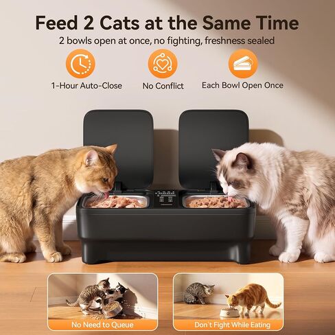 Meowant Automatic Wet Food Cat Feeder, Semiconductor Cooling & Pre-Heating in Kuwait