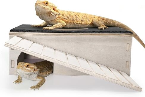 Bearded Dragon Basking Platform,Wood Reptile Hide Cave with Slate Rock,L in Saudi Arabia