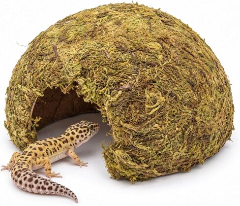 Natural Moss Frogs Hideout - Green Mossy Cave for Reptile, Geckos, and Hermit Crabs - Humid Habitat Decor for Amphibians and Small Reptiles - Eco-Friendly Terrarium Shelter in Saudi Arabia