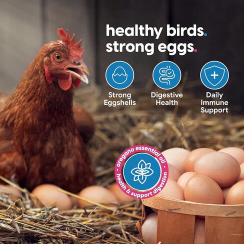 Strong Animals Chicken E-lixir Water Additive with Oregano Oil, 32 oz in Kuwait