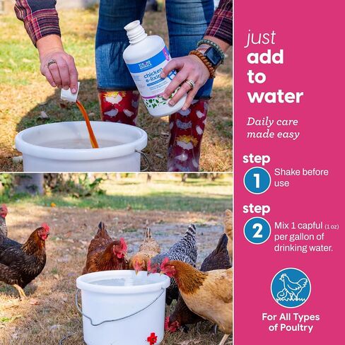 Strong Animals Chicken E-lixir Water Additive with Oregano Oil, 32 oz in Kuwait