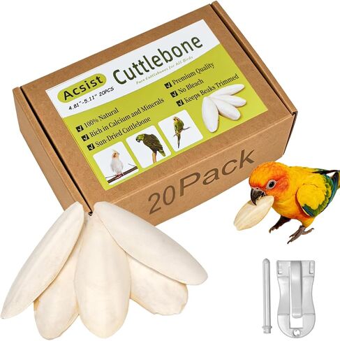 4.3"-4.7" Cuttlebone for Birds,Natural Cuttlefish Bone for Parakeets,12 Pcs in Saudi Arabia