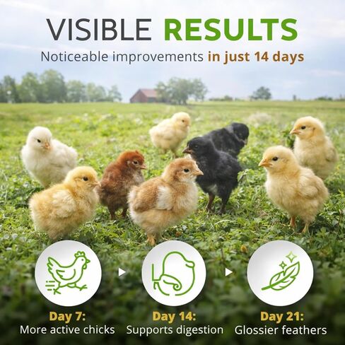 Buff Clucks Herbal Chicken Supplements Natural Poultry Herbs for Baby Chick in Kuwait