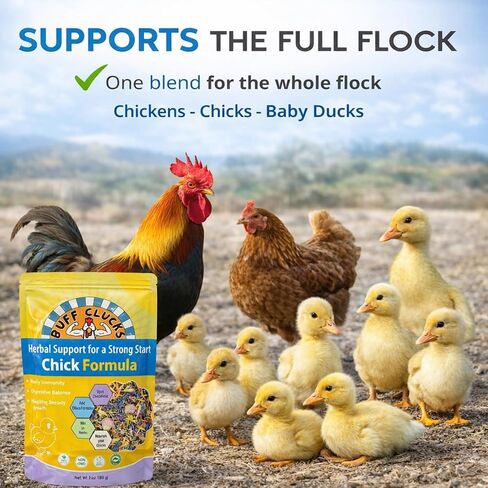 Buff Clucks Herbal Chicken Supplements Natural Poultry Herbs for Baby Chick in Kuwait
