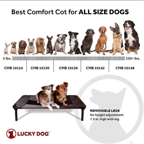 سرير حيوانات أليفة مرتفع مقاس 30 بوصة من Lucky Dog | استخدام داخلي وخارجي | رمادي in Kuwait