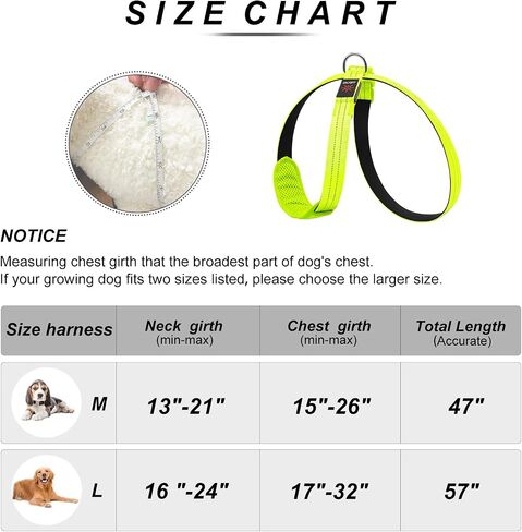 Light Up Dog Vest Harness Rechargeable, Adjustable & Reflective LED Lighted Dog Harness, Glow Dark Dog Light Harness for Night Safety Walking, Green Extra Large in Kuwait
