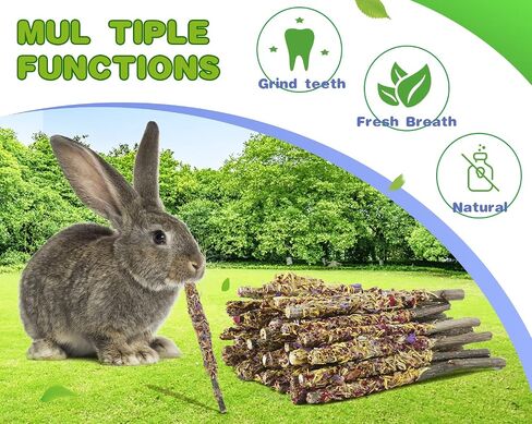 Abizoo Bunny Chew Toys for Rabbits,18PCS Natural Apple Wood Sticks with Petals Good for Chinchillas Guinea Pig Hamster Teeth Care, Bunny Small Pet Treats Teething Toys| Natural Organic Safe in Kuwait