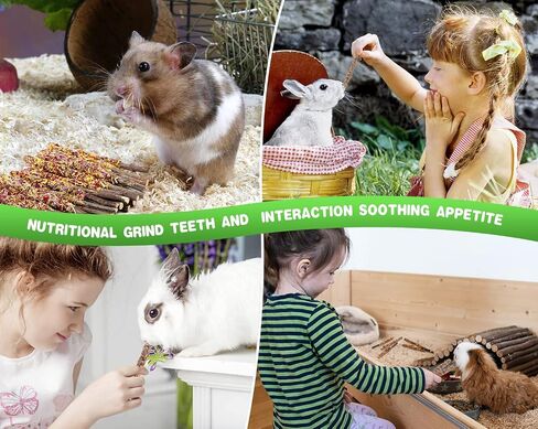 Abizoo Bunny Chew Toys for Rabbits,18PCS Natural Apple Wood Sticks with Petals Good for Chinchillas Guinea Pig Hamster Teeth Care, Bunny Small Pet Treats Teething Toys| Natural Organic Safe in Kuwait