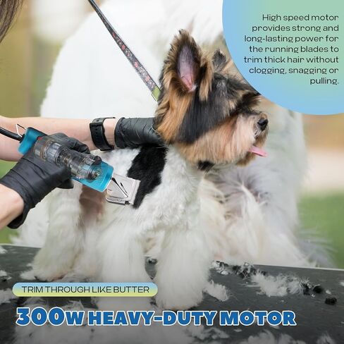 300W Dog Clippers for Grooming, with 3-Speed Control for 5/6/7K RPM in Saudi Arabia