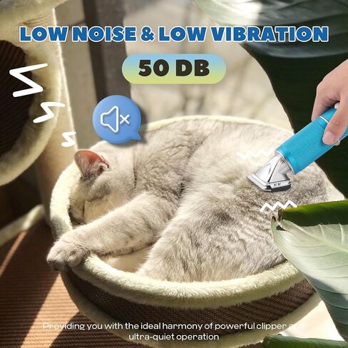 300W Dog Clippers for Grooming, with 3-Speed Control for 5/6/7K RPM in Saudi Arabia