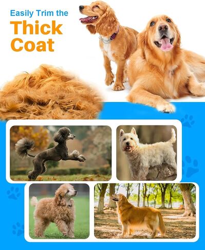Dog Grooming Kit - Dog Clippers for Grooming Silver in Kuwait