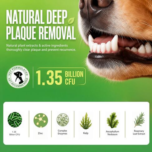 Enzymatic Dog Dental Powder, Mint Dog Teeth Cleaning Plaque Off Powder-150g in Kuwait
