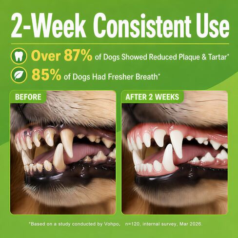 Enzymatic Dog Dental Powder, Mint Dog Teeth Cleaning Plaque Off Powder-150g in Kuwait