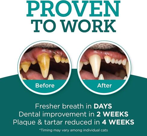 Twist + Lick Brush Free Dental Gel for Cats, 30 Day Supply, Fresh Breath in Kuwait