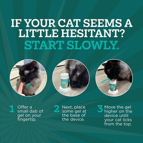 Twist + Lick Brush Free Dental Gel for Cats, 30 Day Supply, Fresh Breath in Kuwait