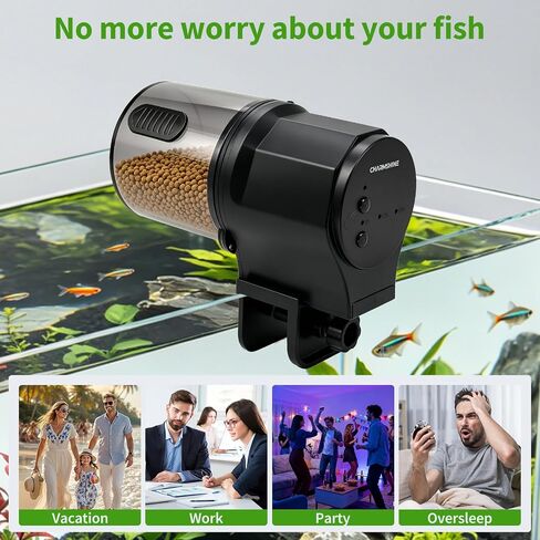 Automatic Fish Feeder for Aquarium One-Touch Easy Setup with 8/12/24 Timers in Kuwait