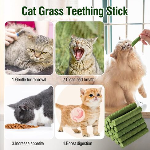 120g/4.23oz Cat Grass Teething Stick Hairballs,Chew Sticks for Cats,Catnip Toys Sticks Indoor Kitten Chew Stick in Kuwait