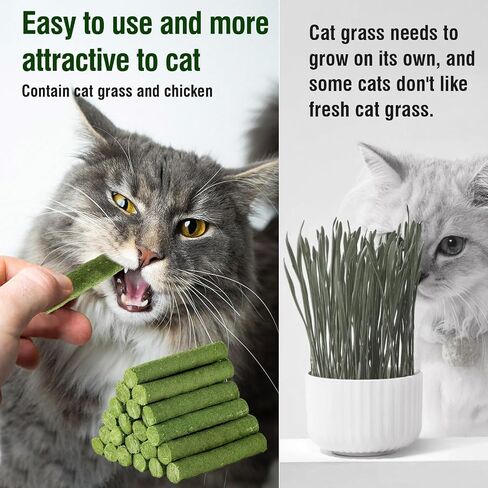 120g/4.23oz Cat Grass Teething Stick Hairballs,Chew Sticks for Cats,Catnip Toys Sticks Indoor Kitten Chew Stick in Kuwait