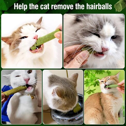 120g/4.23oz Cat Grass Teething Stick Hairballs,Chew Sticks for Cats,Catnip Toys Sticks Indoor Kitten Chew Stick in Kuwait