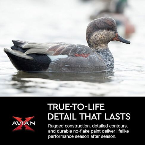 Avian-X Topflight Gadwall أفخاخ صيد البط العائمة المتينة والواقعية للغاية، عبوة من 6 قطع، AVX8085 in Kuwait