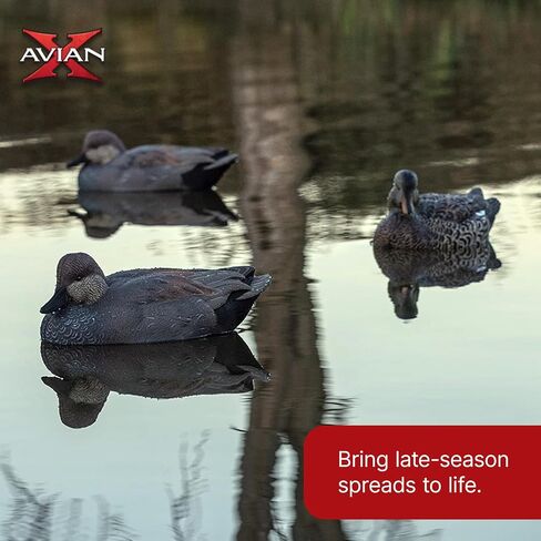 Avian-X Topflight Gadwall أفخاخ صيد البط العائمة المتينة والواقعية للغاية، عبوة من 6 قطع، AVX8085 in Kuwait