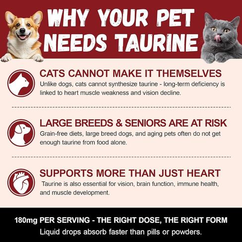 Taurine Drops for Dogs & Cats in Kuwait