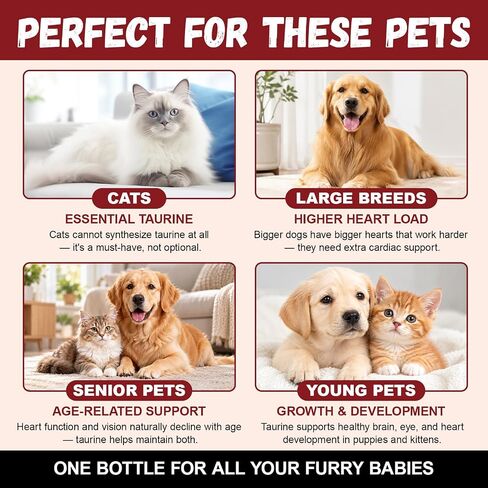 Taurine Drops for Dogs & Cats in Kuwait