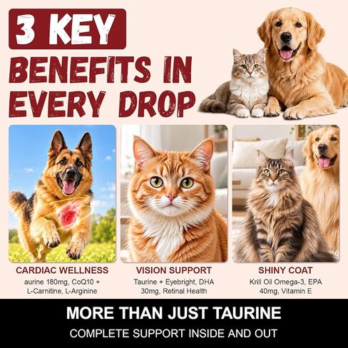 Taurine Drops for Dogs & Cats in Kuwait