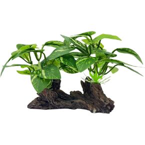 Fish Tank Decor, Aquarium Plants, Reptile Tank Accessories in Kuwait