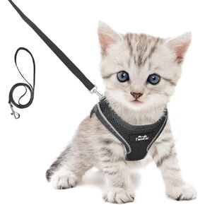 TwoEar Cat Harness Escape Proof, Soft Dog Vest Harness Adjustable, Breathable Mesh Step-in Puppy Walking Jacket Reflective Easy Control for Extral Small Pets for Outdoor Walking(XXXS, Black) in Saudi Arabia