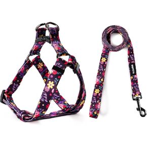 QQPETS Dog Harness Leash Set Adjustable Heavy Duty No Pull Halter Harnesses for Small Medium Large Breed Dogs Back Clip Anti-Twist Perfect for Walking in Saudi Arabia
