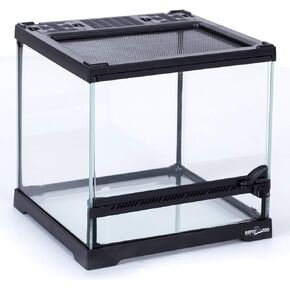REPTIZOO Mini Reptile Glass Terrarium Tank 8"x8"x8", Front Opening Door Full View Visually Appealing Mini Reptile or Amphibians Glass Habitat in Saudi Arabia
