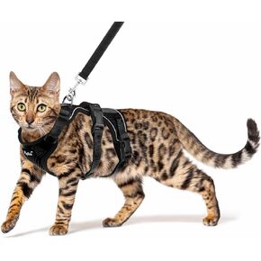 PUPTECK Cat Harness and Leash Set Escape Proof for Walking, Breathable Mash Vest Adjustable Harness for Cats Puppy Small Animals, Reflective at Night, Black Small in Saudi Arabia