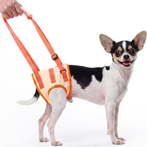 Allroaring Dog Lift Harness with Soft Pads, Orange, S in Kuwait
