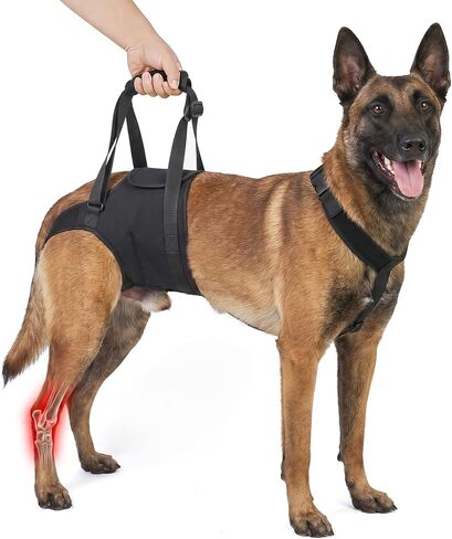 Supet Dog Sling for Large Dogs Hind Leg Support, Dog Back Leg Lift Harness in Kuwait
