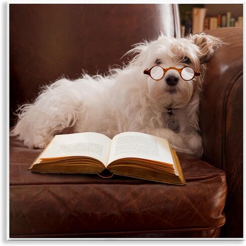 Stupell Industries White Dog Reading Book قماش جدار الفن تصميم بواسطة مايكل Quackenbush in Kuwait