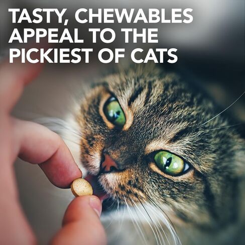 Vet's Best Cat Urinary Tract Support Chewables | Supports A Healthy Urinary Tract in Cats | 60 Chewable Tablets in Kuwait
