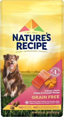 Nature's Recipe Grain Free Salmon Dry Dog Food, 4 lb. Bag in Kuwait