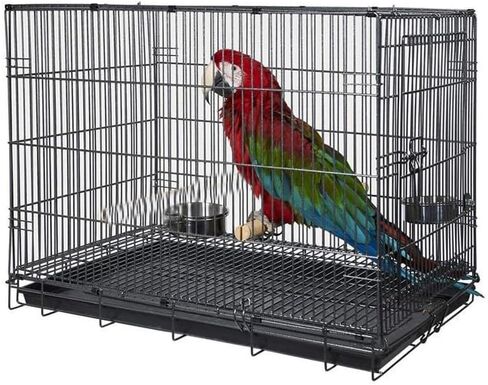 Large Travel Vet Portable Bird Parrot Metal Cage Carrier Easy Foldable Bite-Proof Stainless Feeder Bowls Natural Wooden Stand Perch Easy Clean Pull Out Raised Grate and Tray in Kuwait