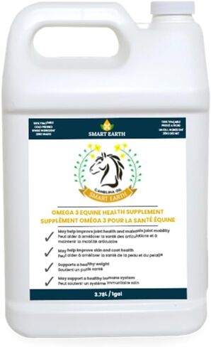 Smart Earth Camelina Horse Oil Supplement for Equine Care & Feed | Essential Oils for Joint Health | 1gal Jug in Kuwait
